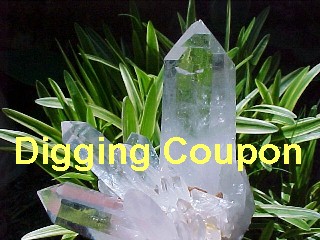 DIG YOUR OWN CRYSTALS COUPON